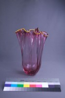 水母藏品圖，第4張