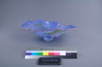 貝殼藏品圖，第1張