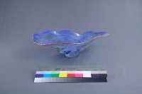 貝殼藏品圖，第3張