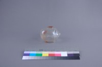 豬形撲滿藏品圖，第2張