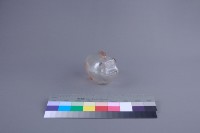 豬形撲滿藏品圖，第3張