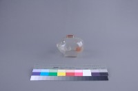 豬形撲滿藏品圖，第4張