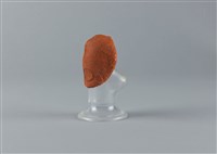 吸奶器藏品圖，第4張