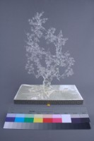 梅花藏品圖，第2張