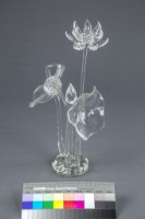 荷花藏品圖，第3張