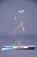 荷花藏品圖，第8張