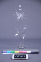 荷花藏品圖，第9張