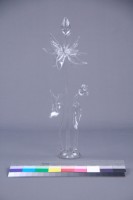 荷花藏品圖，第10張