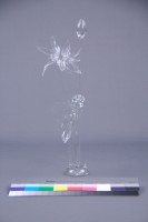 荷花藏品圖，第11張