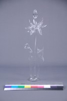 荷花藏品圖，第12張