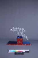 黃安福-歲寒三友藏品圖，第1張