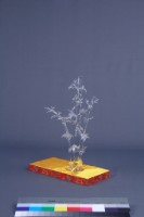 黃安福-歲寒三友藏品圖，第7張