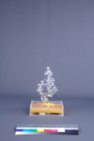 黃安福-歲寒三友藏品圖，第10張