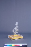 黃安福-歲寒三友藏品圖，第11張