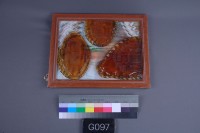 懷古藏品圖，第1張