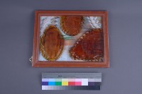 懷古藏品圖，第2張