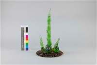 王明標-竹塹刺竹藏品圖，第1張