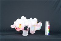 捷克之花藏品圖，第5張