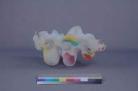 捷克之花藏品圖，第4張