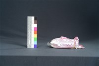 絞紋掛式牡丹花瓶藏品圖，第5張