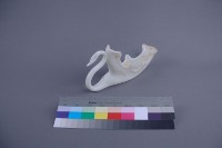 天鵝花器藏品圖，第3張