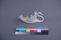 天鵝花器藏品圖，第4張