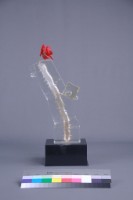 沐風藏品圖，第2張