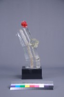 沐風藏品圖，第3張