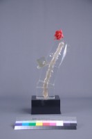 沐風藏品圖，第4張