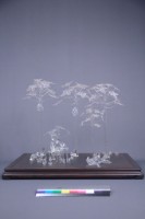 許熹鍊-地三碗（三件一組）藏品圖，第2張