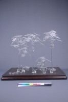 許熹鍊-地三碗（三件一組）藏品圖，第4張