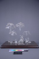 許熹鍊-地三碗（三件一組）藏品圖，第5張