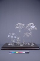 許熹鍊-地三碗（三件一組）藏品圖，第7張