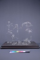 許熹鍊-地三碗（三件一組）藏品圖，第10張