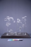 許熹鍊-地三碗（三件一組）藏品圖，第12張