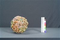 大腦的組織（美）藏品圖，第5張