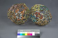 大腦的組織（美）藏品圖，第2張