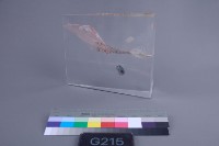 星球（法）藏品圖，第1張