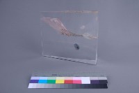 星球（法）藏品圖，第2張