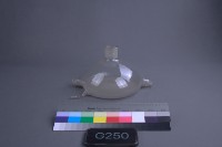 儀器瓶（扁圓）藏品圖，第1張