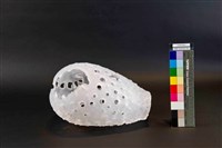 對話藏品圖，第1張