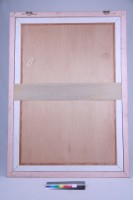 峭壁上的花靈藏品圖，第3張