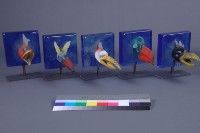 夢幻彩鳥（5件）藏品圖，第3張