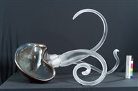 原始動物VI藏品圖，第5張