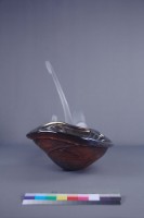 原始動物VI藏品圖，第3張