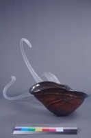 原始動物VI藏品圖，第4張