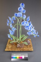 想飛藏品圖，第2張