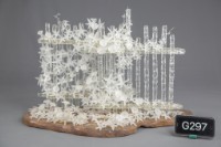 籬笆中的強者藏品圖，第1張