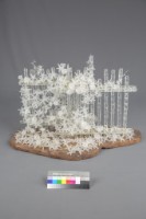 籬笆中的強者藏品圖，第2張