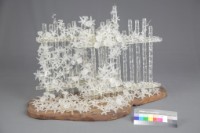 籬笆中的強者藏品圖，第3張